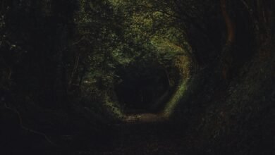 تفسير حلم الموت في المنام