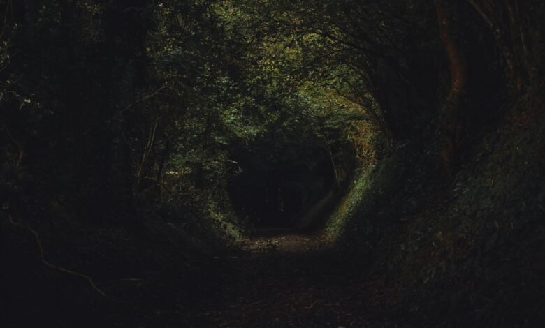 تفسير حلم الموت في المنام