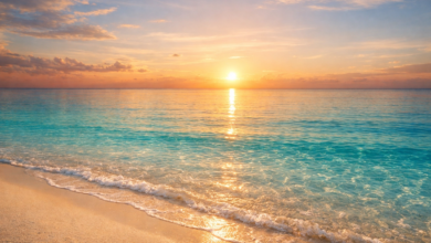 صورة للبحر ترمز إلى تفسير حلم البحر في المنام ودلالاته في علم تفسير الأحلام.